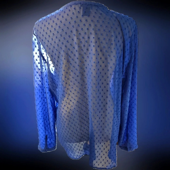 Ann Taylor Swiss Dot Sheer Top Blue size XL - Picture 2 of 4